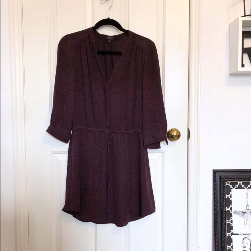 Aritzia 100% Silk Bennett Shirt Dress - Picture 2 of 3